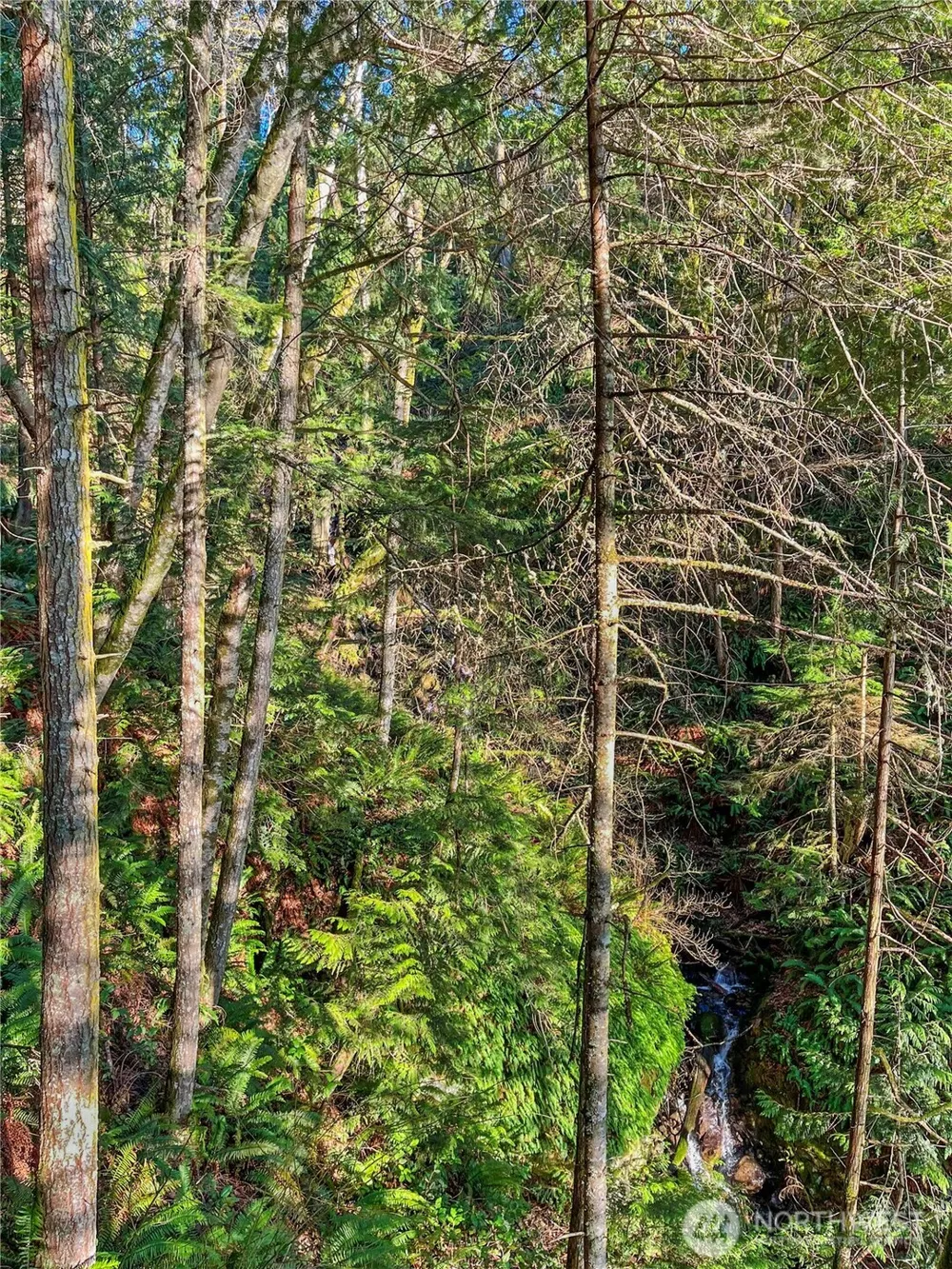 26 Riverview East Road Cathlamet, WA 98612