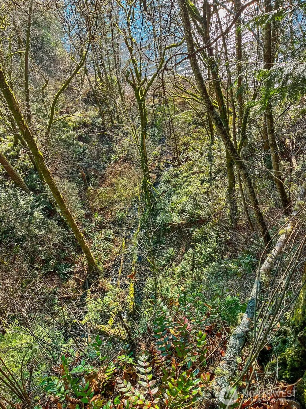 26 Riverview East Road Cathlamet, WA 98612