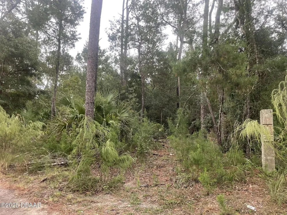 1783 Taylor Road Port Orange, FL 32128