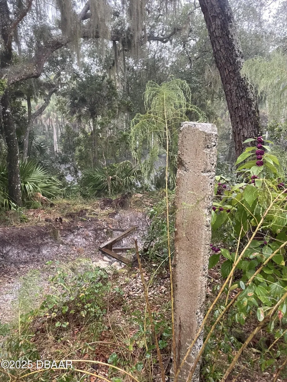 1783 Taylor Road Port Orange, FL 32128