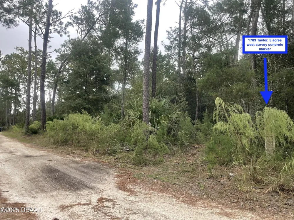 1783 Taylor Road Port Orange, FL 32128