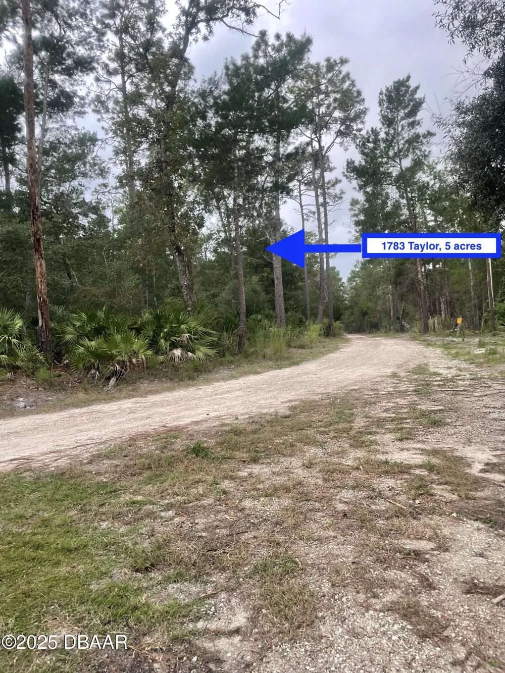1783 Taylor Road Port Orange, FL 32128