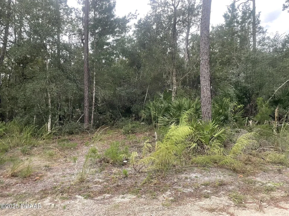 1783 Taylor Road Port Orange, FL 32128