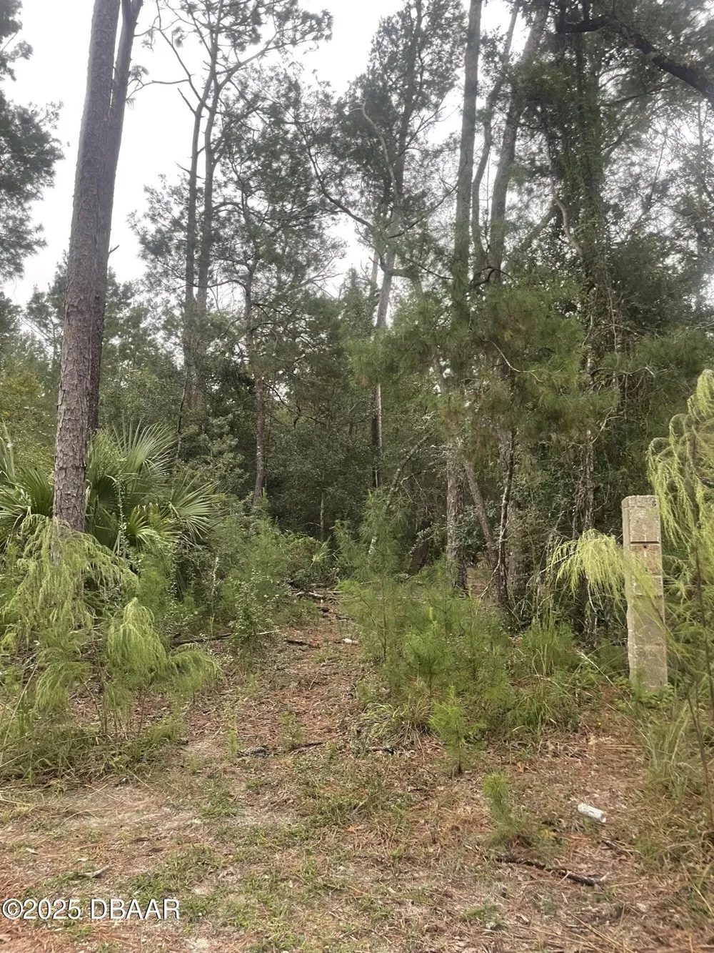 1783 Taylor Road Port Orange, FL 32128
