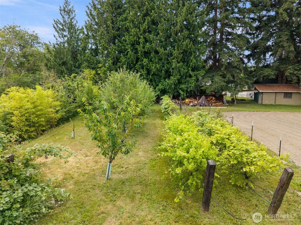 6717 56th Street E Puyallup, WA 98371