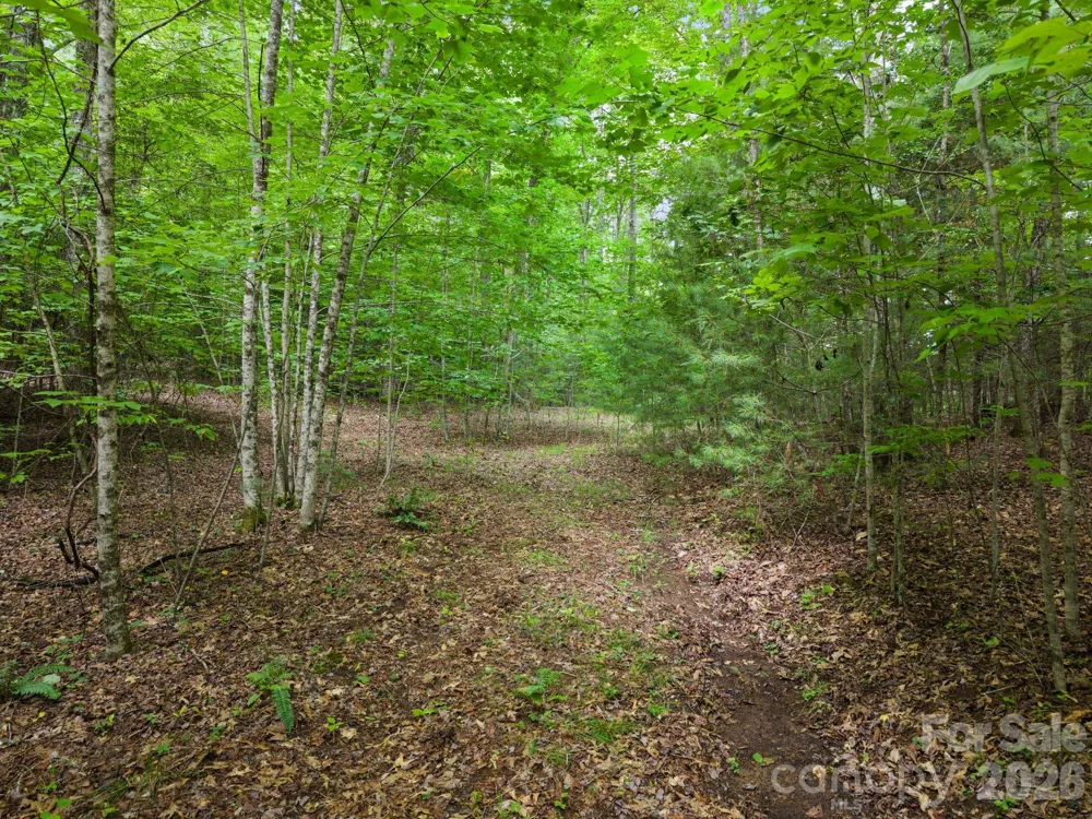 00 Tellico Road Franklin, NC 28734
