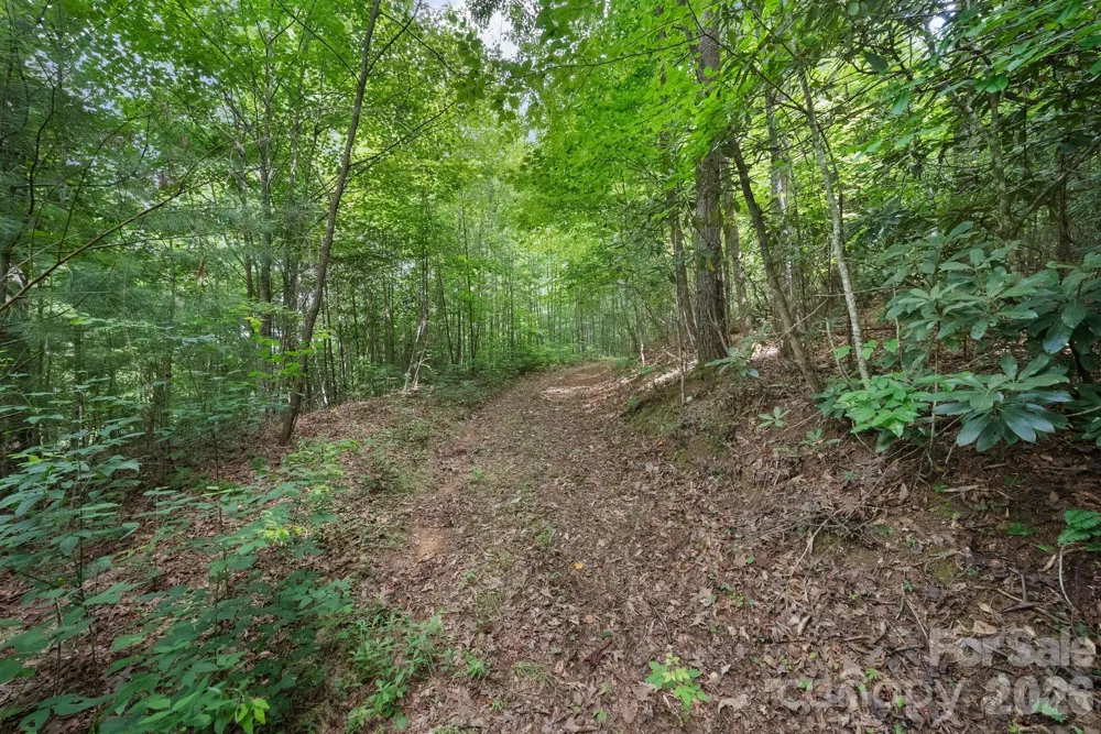 00 Tellico Road Franklin, NC 28734