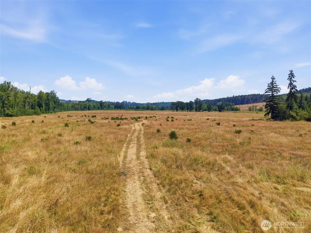 0 Maw Road Toledo, WA 98591