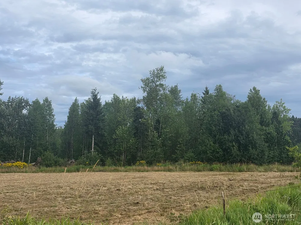 0 Maw Road Toledo, WA 98591