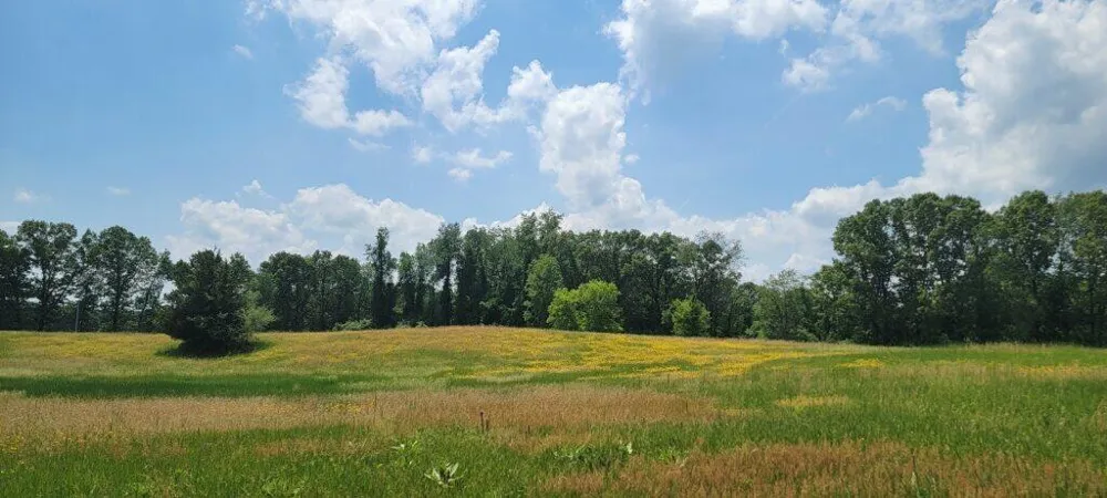 Kingsbury Road #Parcel C Delton, MI 49046