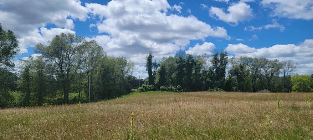 Kingsbury Road #Parcel C Delton, MI 49046
