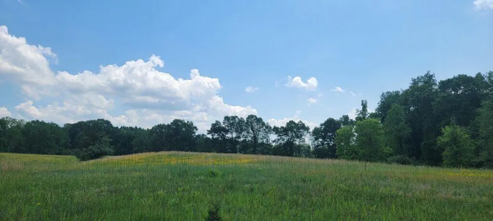 Kingsbury Road #Parcel C Delton, MI 49046