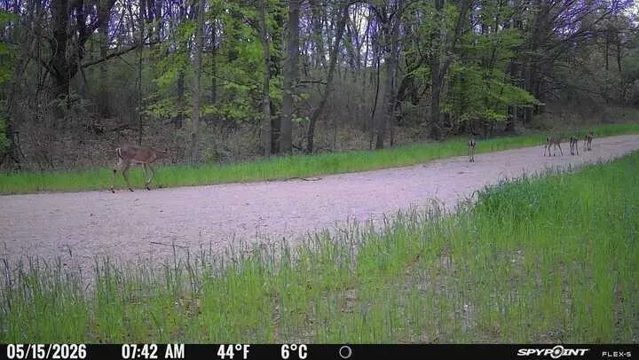 Kingsbury Road #Parcel C Delton, MI 49046
