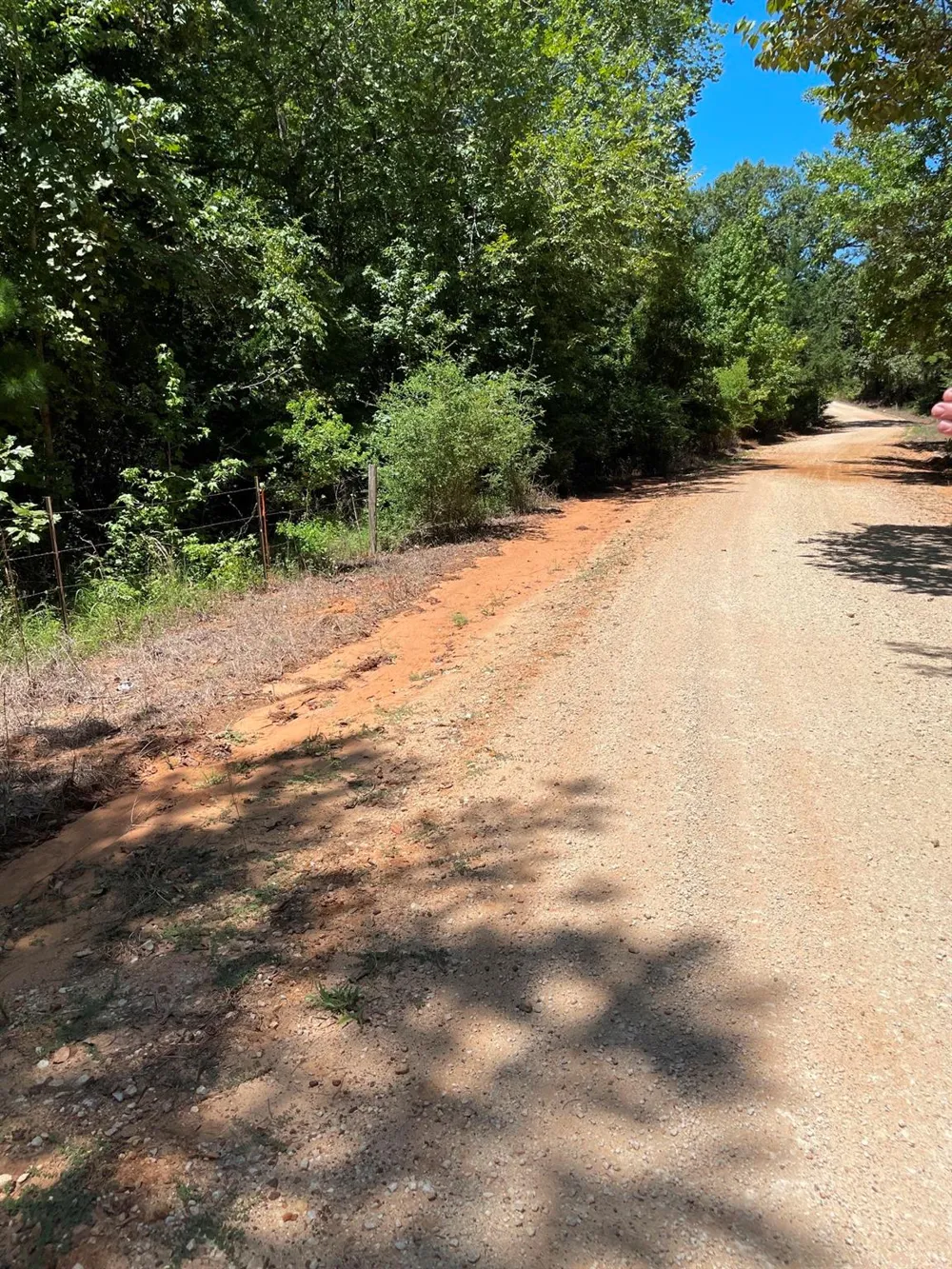 County Road 1655 Grapeland, TX 75835