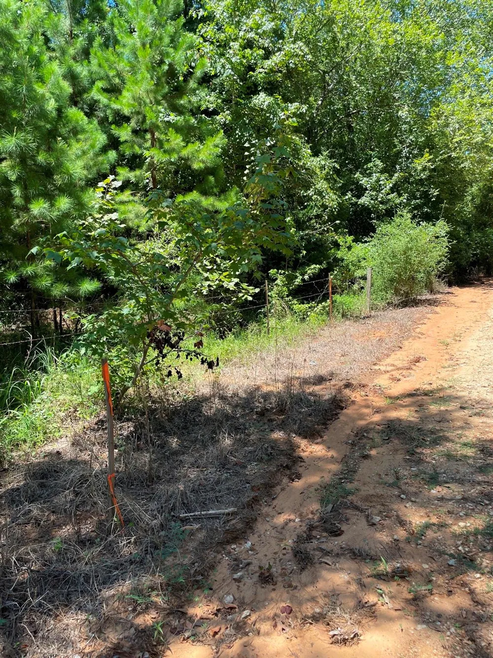 County Road 1655 Grapeland, TX 75835