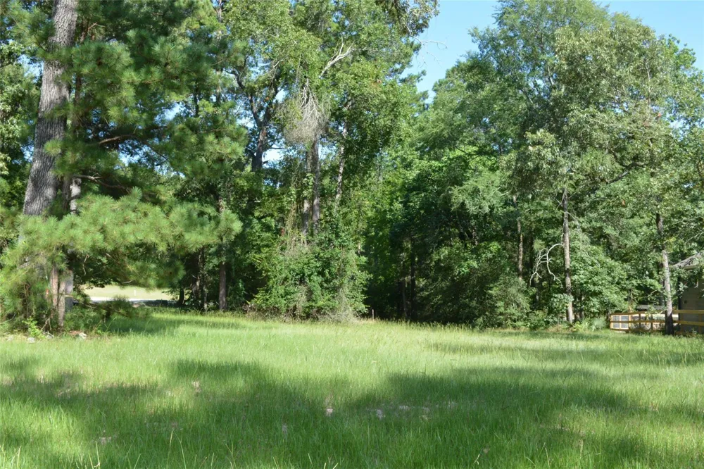 82 Hillsborough Drive Huntsville, TX 77340