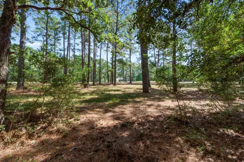37432 Clubhouse Lane