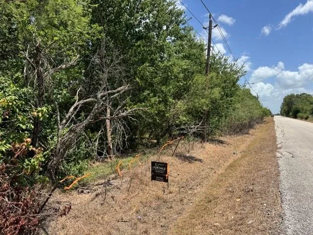 Hopkins Road Beasley, TX 77417