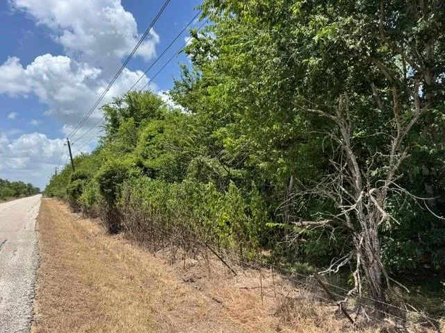 Hopkins Road Beasley, TX 77417