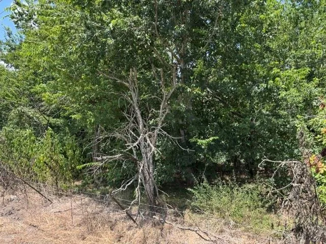 Hopkins Road Beasley, TX 77417