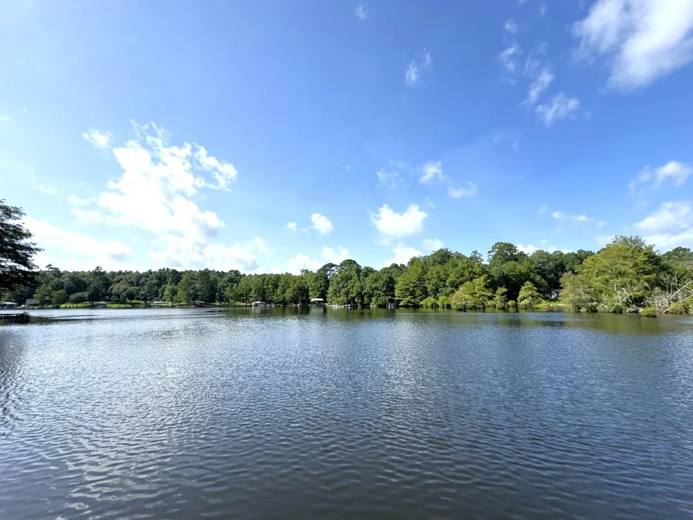 624 County Road 3180 Colmesneil, TX 75938