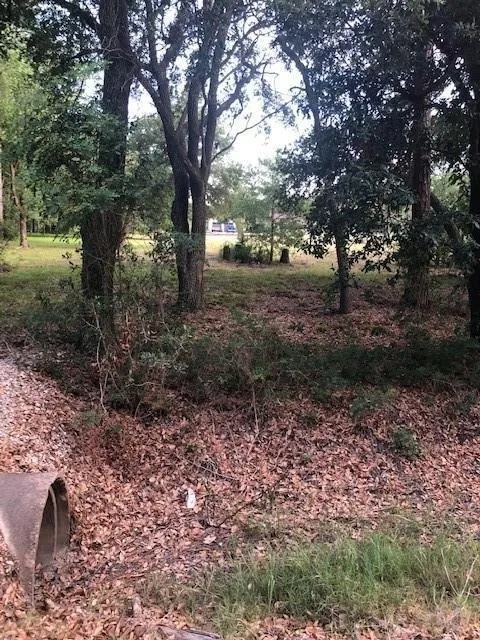 2226 County Road 57 Rosharon, TX 77583
