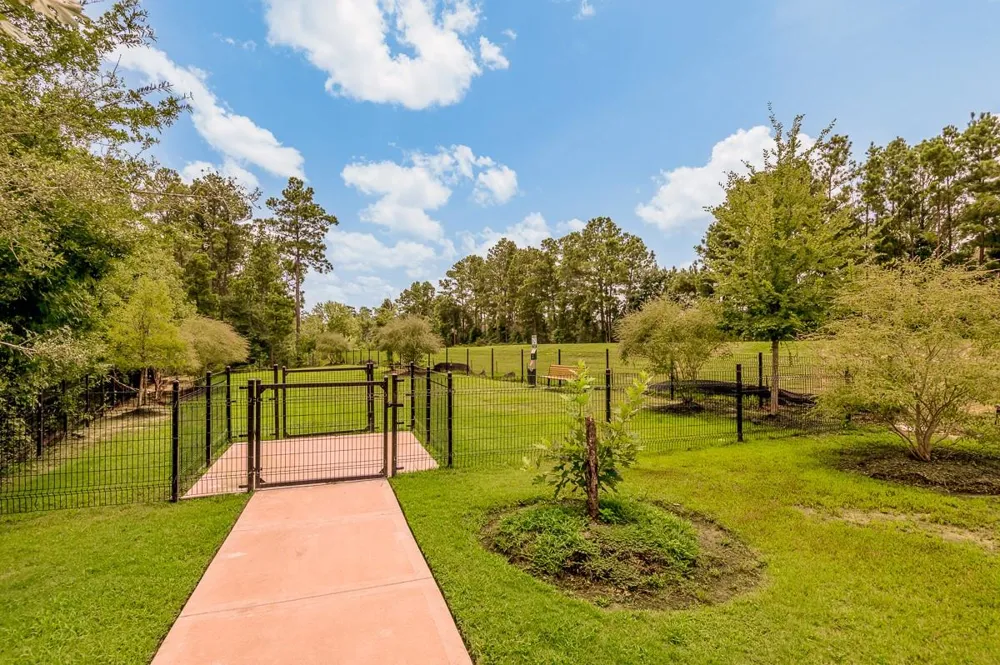 111 Pronghorn Drive Huntsville, TX 77320