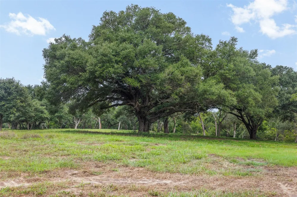 1916 Cr 201 Weimar, TX 78962