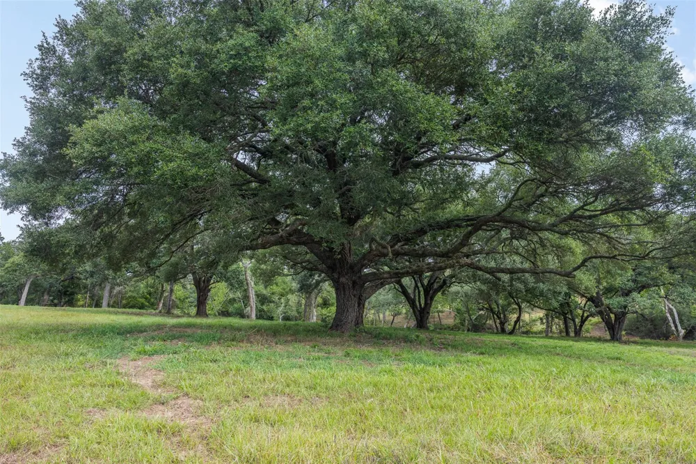 1916 Cr 201 Weimar, TX 78962