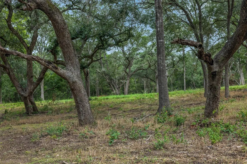1916 Cr 201 Weimar, TX 78962