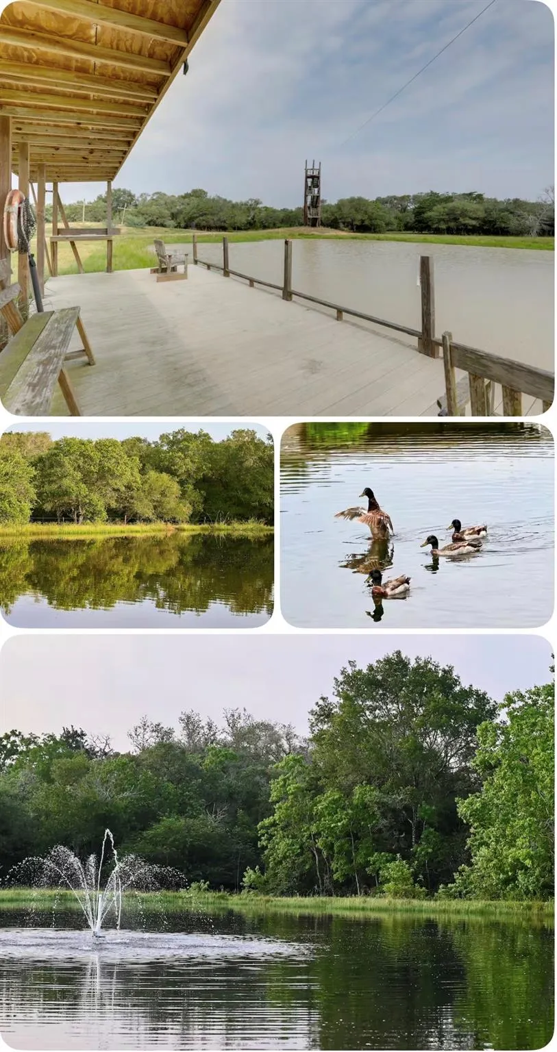 1244 County Road 2152 Rock Island, TX 77470