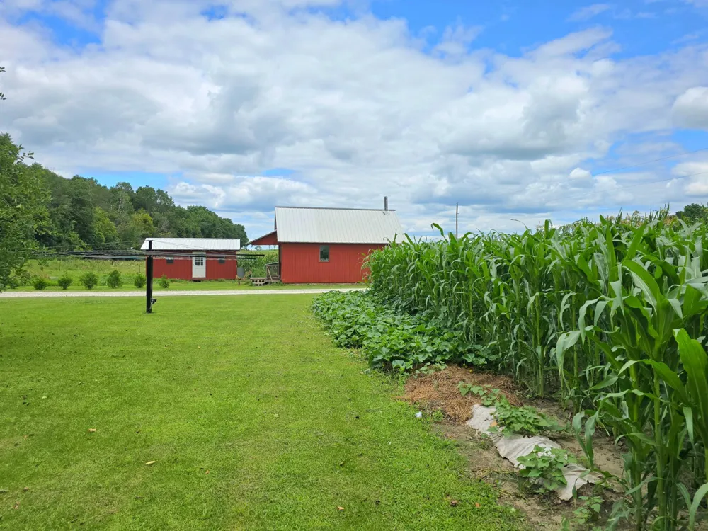 18395 Game Road Preston, MN 55965