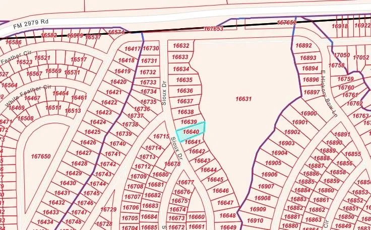 Sioux Drive Hempstead, TX 77445