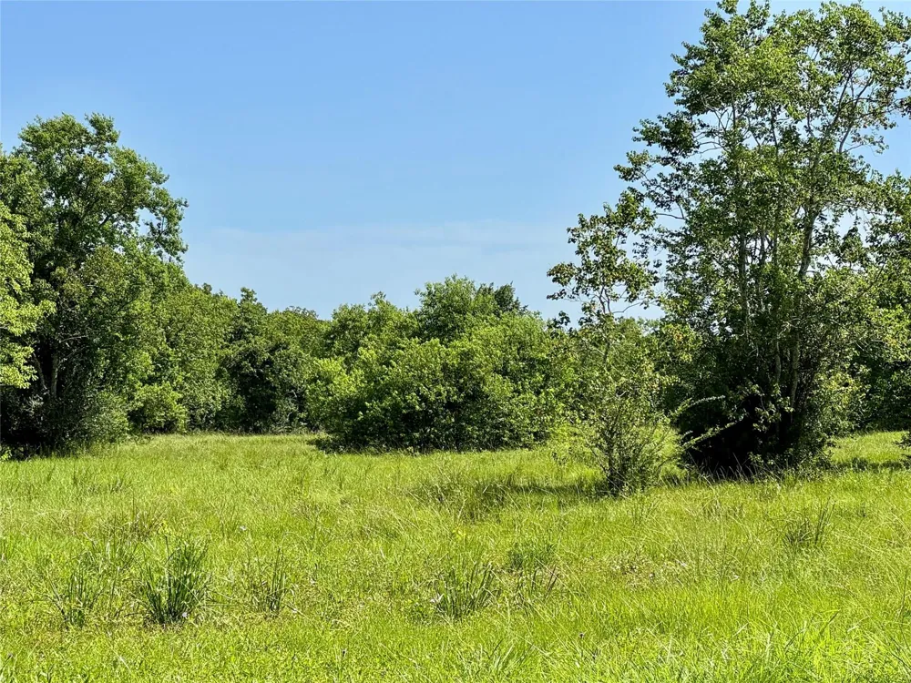 11939 7th St Santa Fe, TX 77510