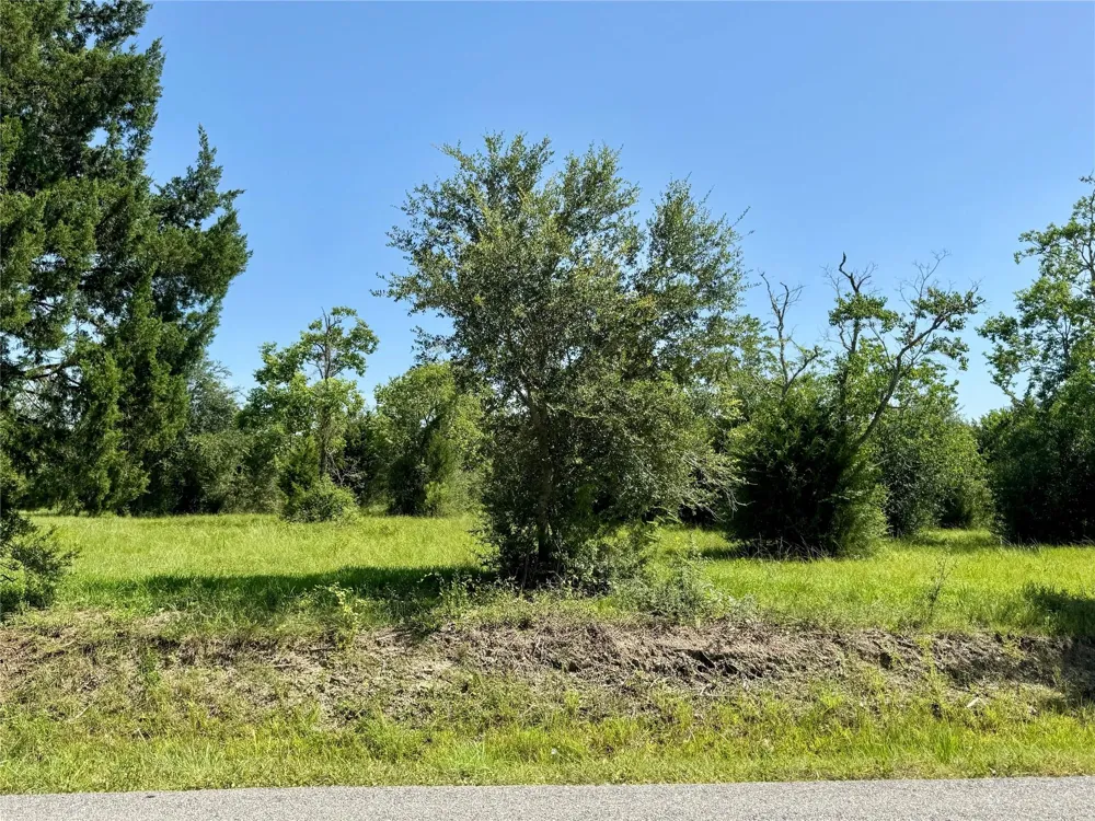 11969 7th St Santa Fe, TX 77510