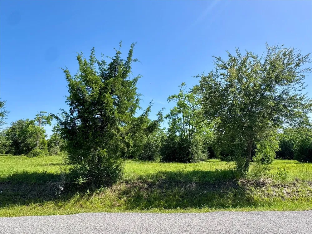 11969 7th St Santa Fe, TX 77510