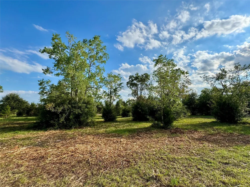 11969 7th St Santa Fe, TX 77510