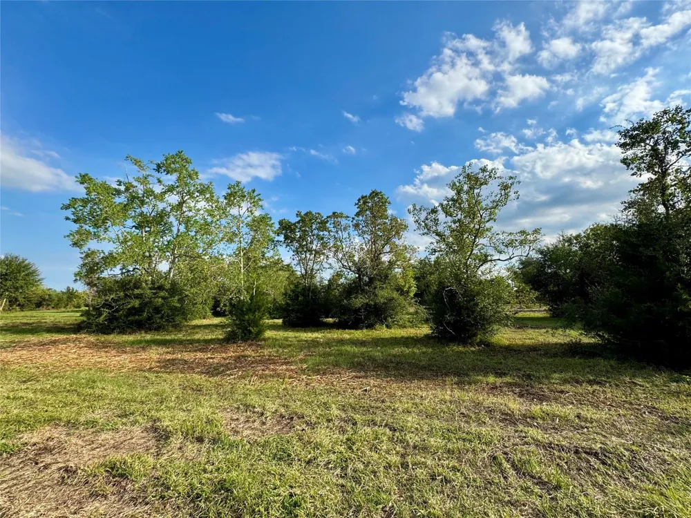 11969 7th St Santa Fe, TX 77510