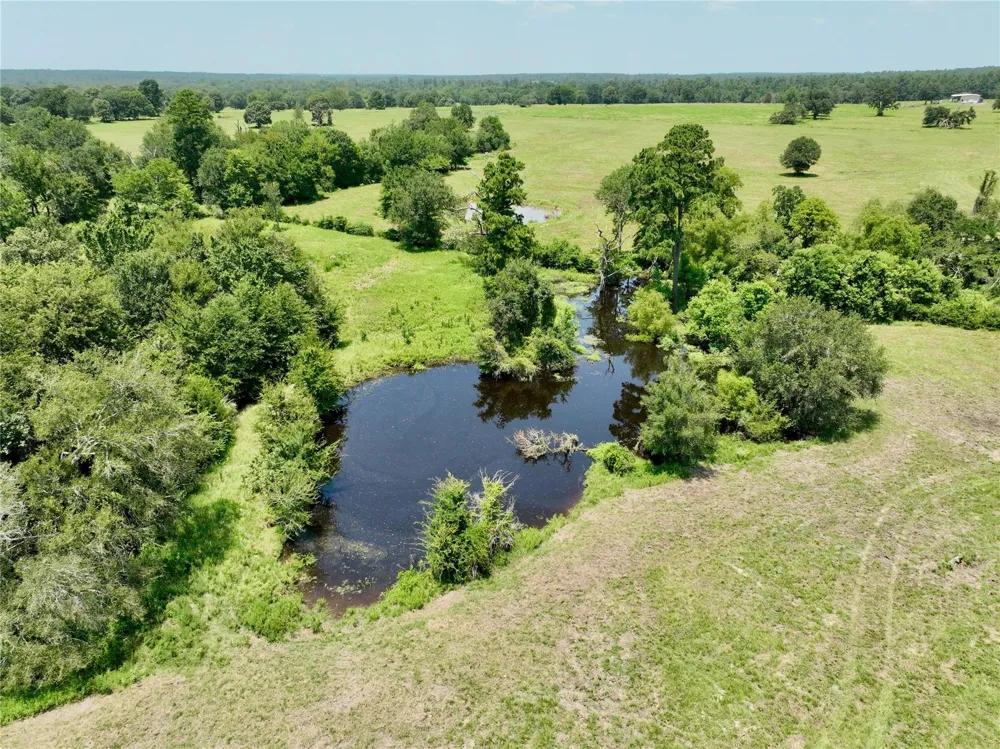 6293 County Road 216 Richards, TX 77873
