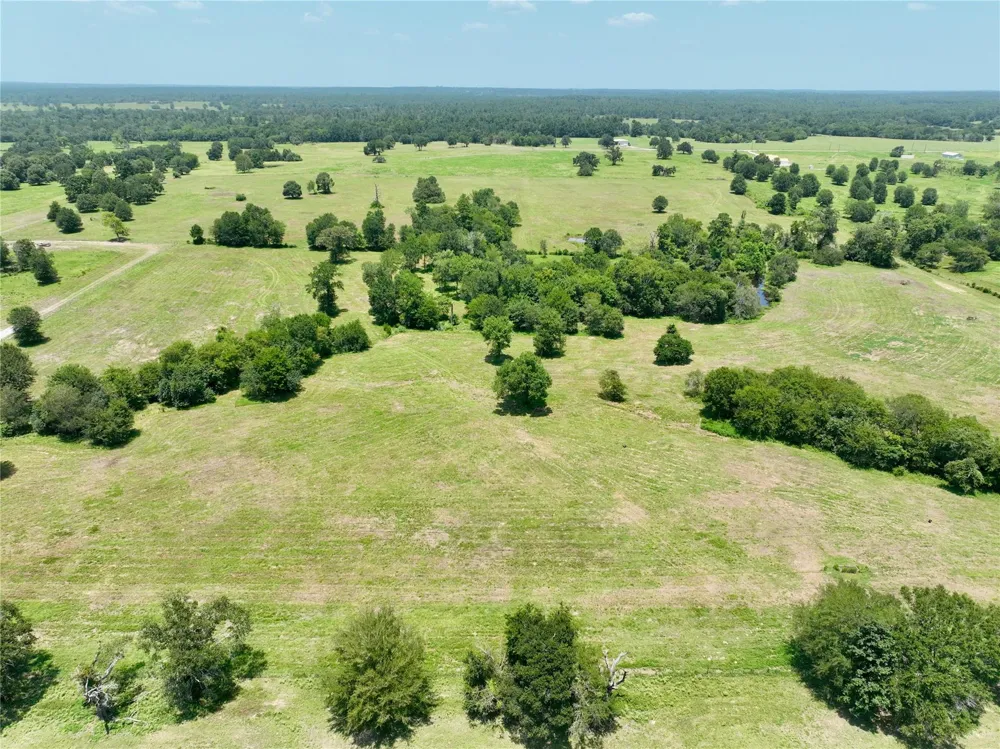 6293 County Road 216 Richards, TX 77873