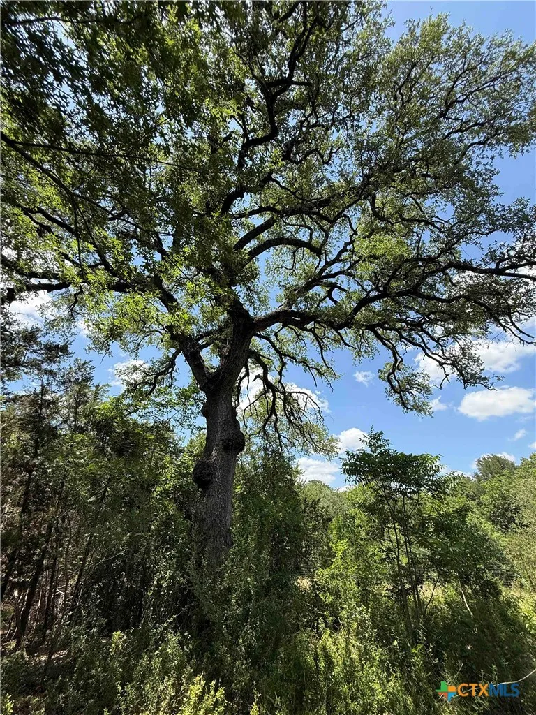 1200 Kenton Parkway Salado, TX 76571