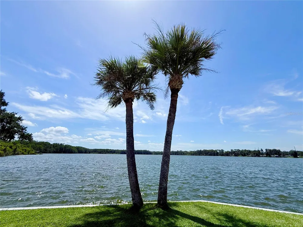29 CLUB HOUSE Eustis, FL 32726