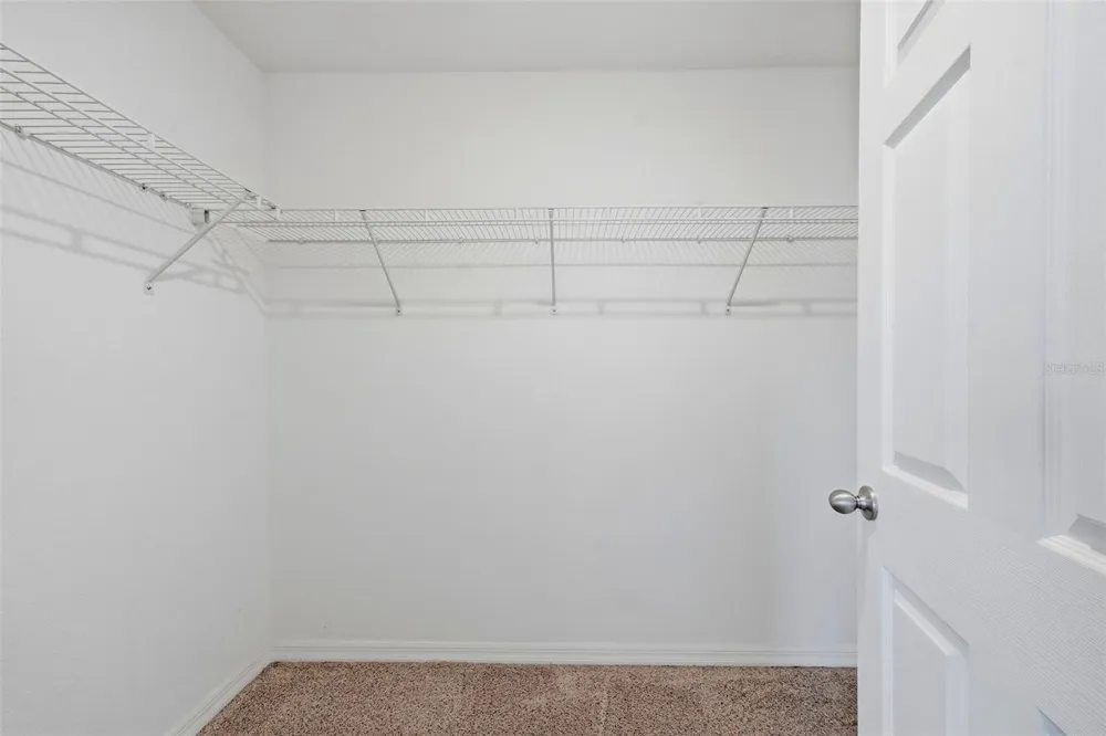 18924 ULMUS STREET Lutz, FL 33558