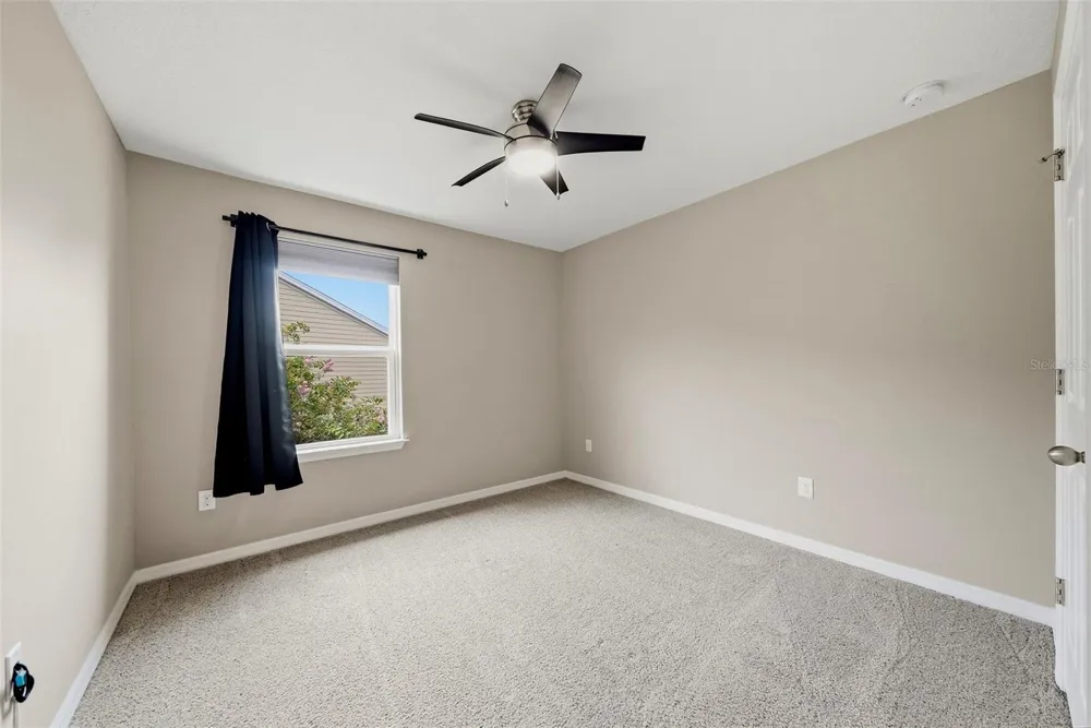 18924 ULMUS STREET Lutz, FL 33558