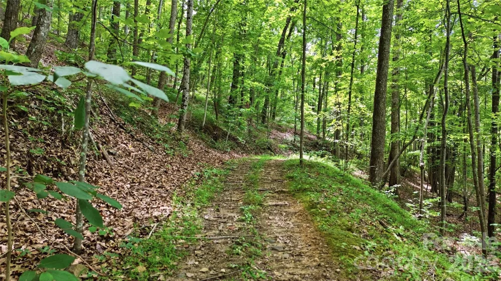 316-318 Cane Creek Mountain Road Union Mills, NC 28167