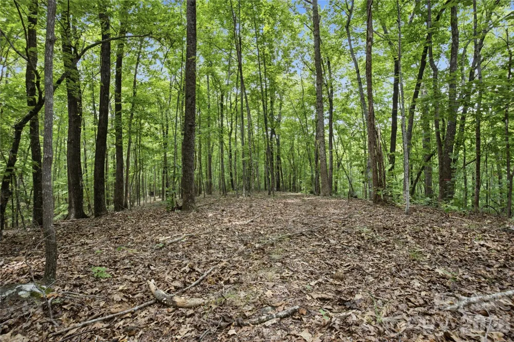 316-318 Cane Creek Mountain Road Union Mills, NC 28167