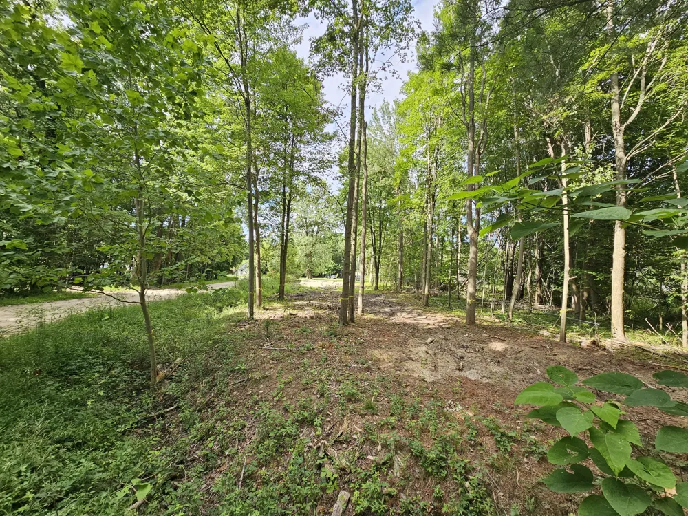 Miami Avenue Grand Junction, MI 49056