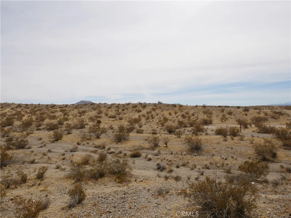 15026 Swan Lane Oro Grande, CA 92368