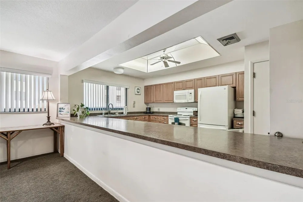103 1ST STREET E #115 St Petersburg, FL 33715