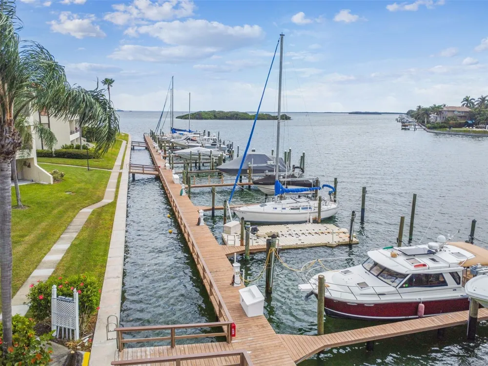 103 1ST STREET E #115 St Petersburg, FL 33715